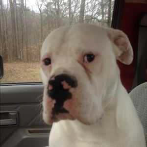 Meet your Posher, Cameron